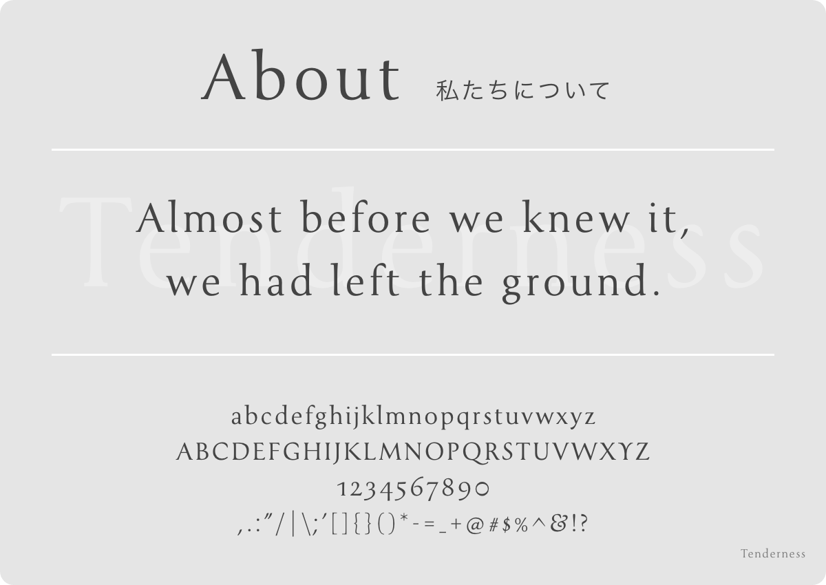 Tendernessのフォントデザインを確認する画像