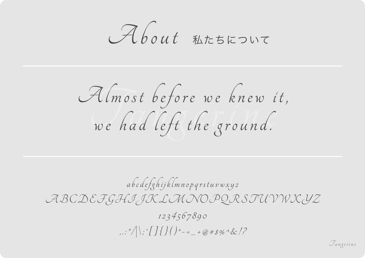 Tangerineのフォントデザインを確認する画像