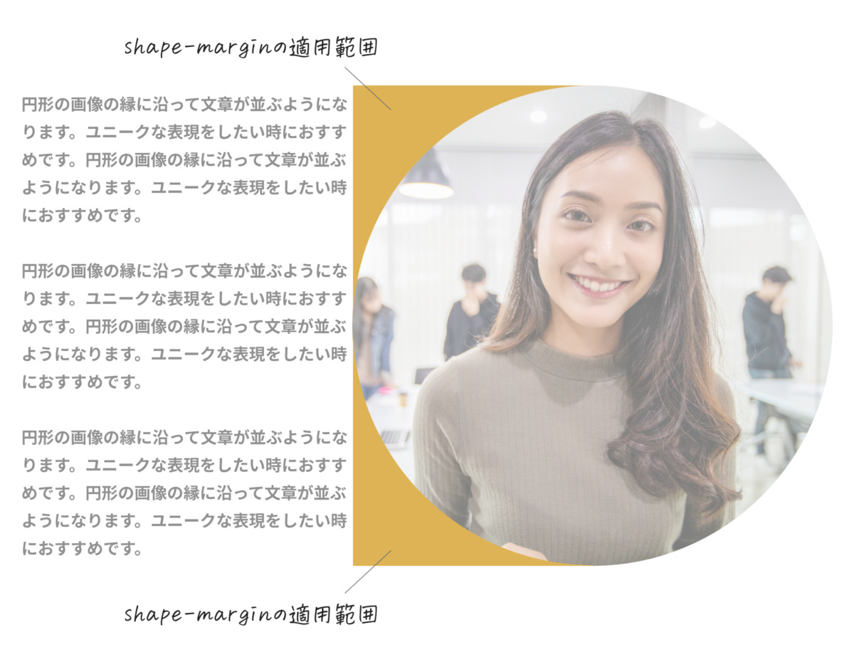 shape-marginの適用範囲を示す画像